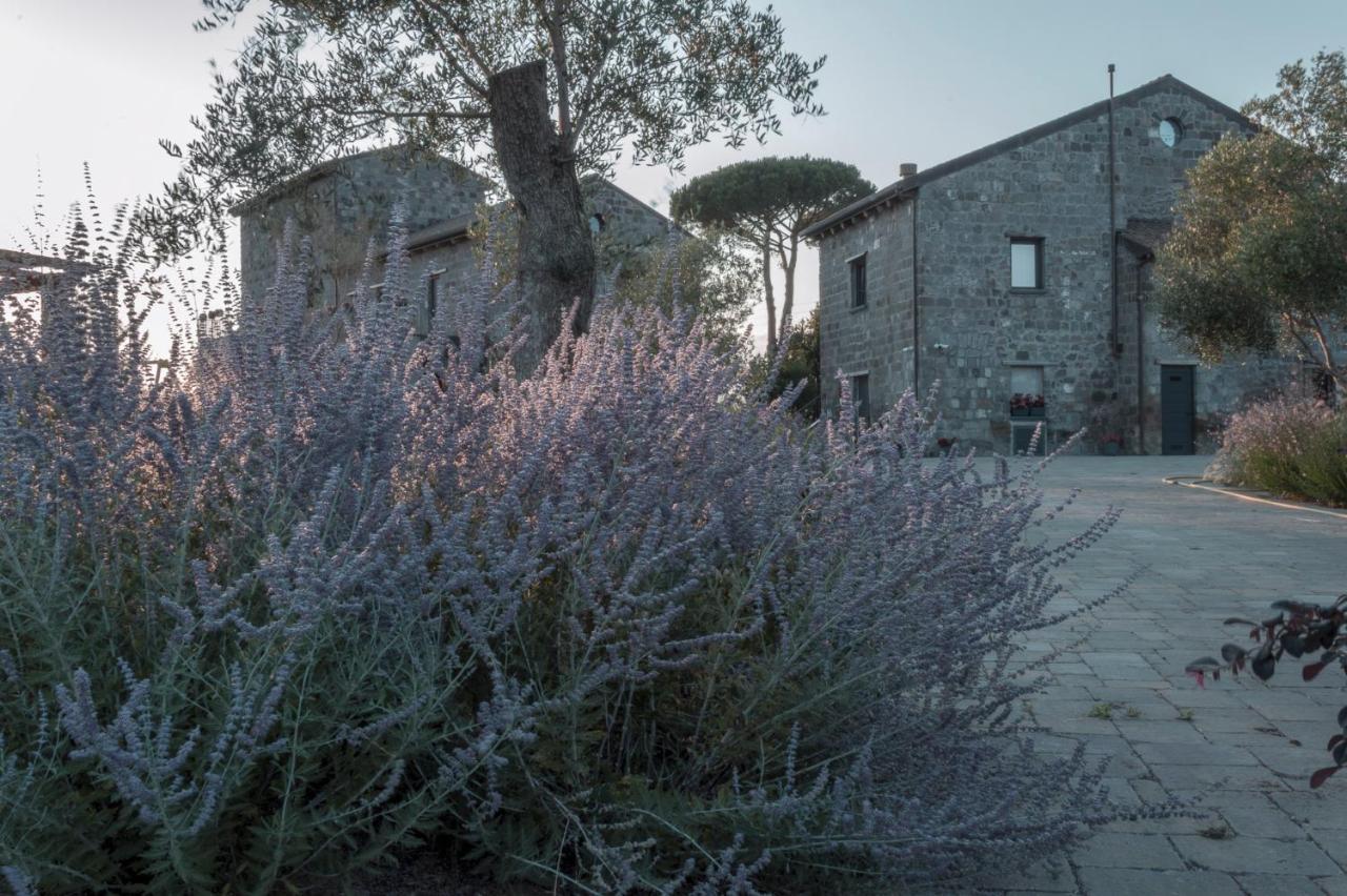 I Cacciagalli Wine Resort Teano Exterior foto