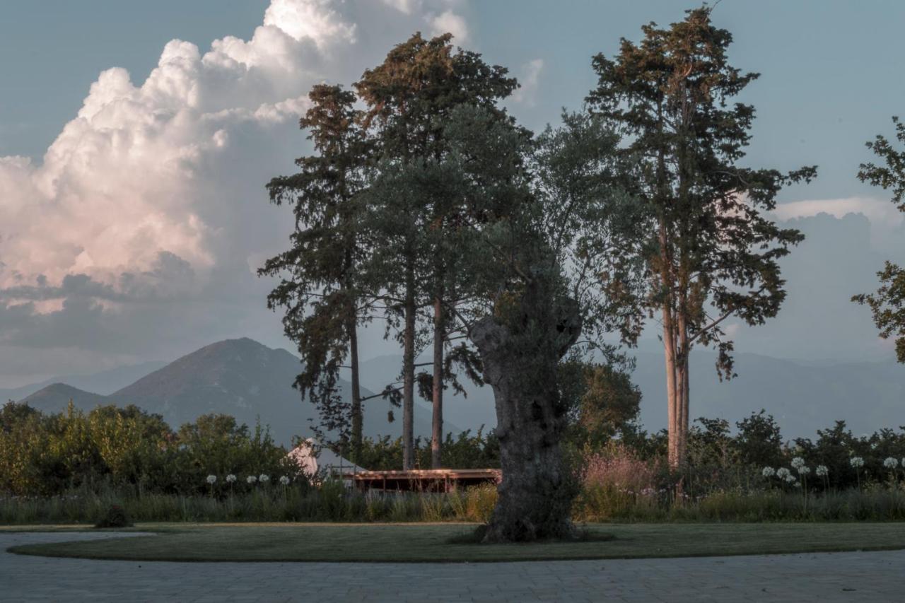 I Cacciagalli Wine Resort Teano Exterior foto