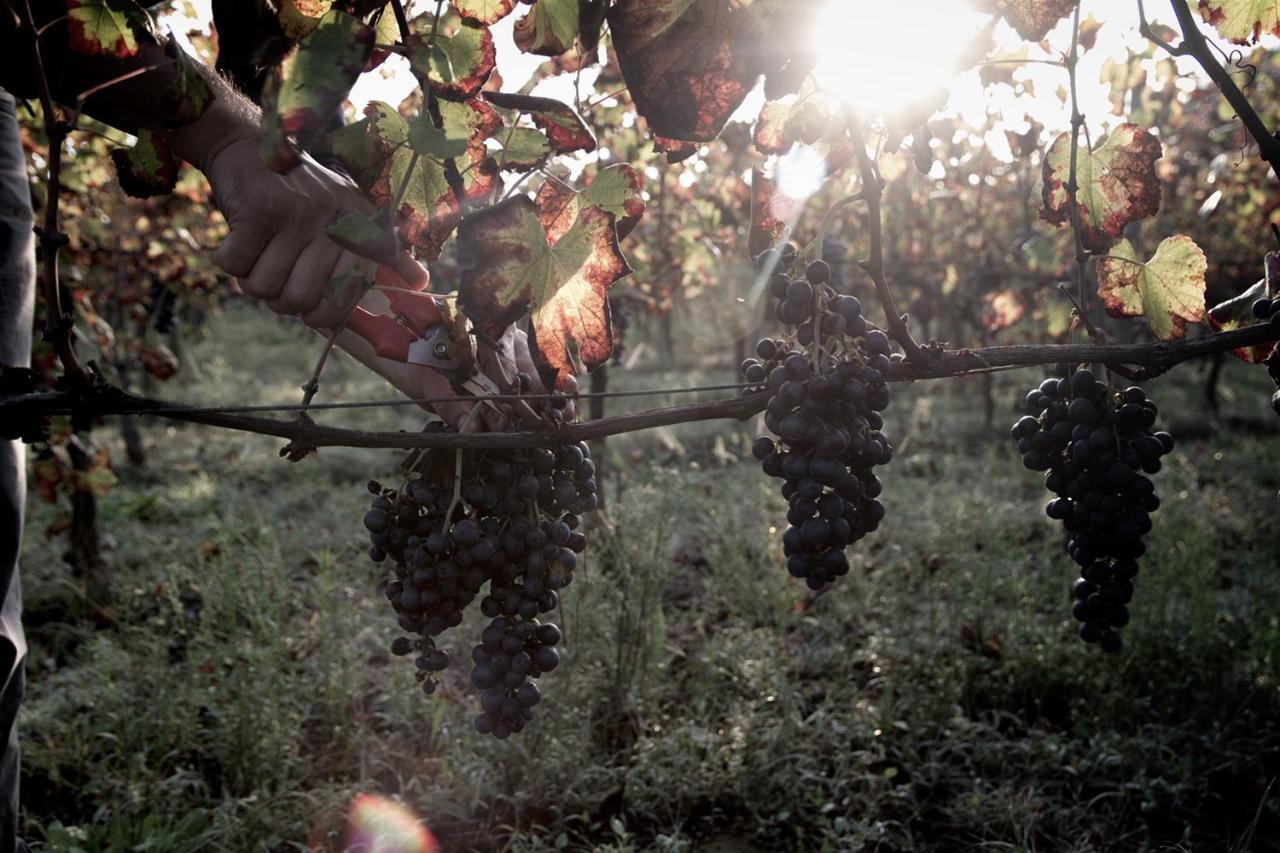 I Cacciagalli Wine Resort Teano Exterior foto